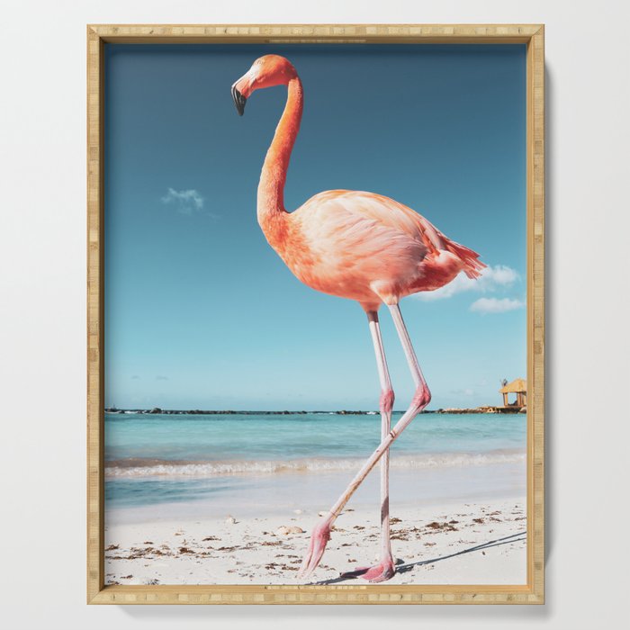 Free as a bird, 2. Flamingo on Aruba Serving Tray