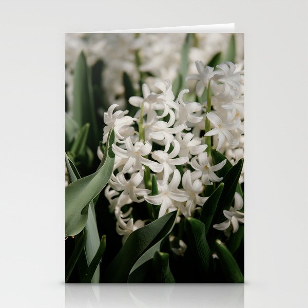 White Hyacinth I Stationery Cards