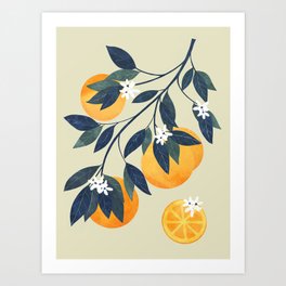 Oranges branch and flowers Art Print