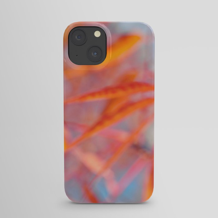 Autumnal Bliss... iPhone Case