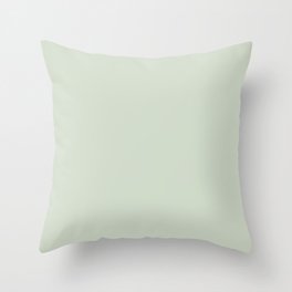 Powder Green Throw Pillow