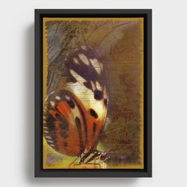 Butterfly  Framed Canvas