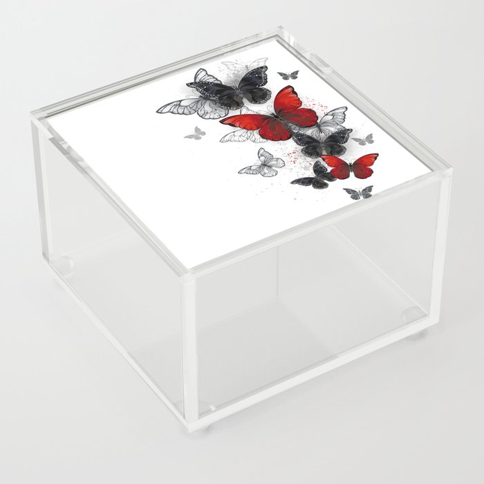 Flying Black and Red Morpho Butterflies Acrylic Box