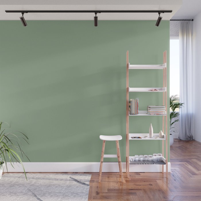Light Sage Green Solid Color Pairs To Sherwin Williams Nurture Green SW 6451 Wall Mural