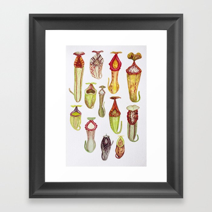 Nepenthes of the World: vol 3 Framed Art Print