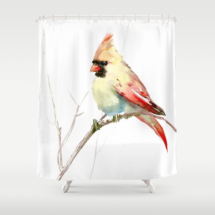 Northern Cardinal Female Bird Shower Curtain By Sureart Northern Cardinal Female Bird Shower Curtain