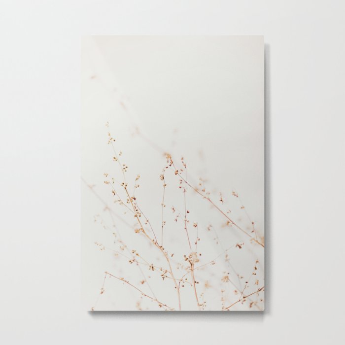 Wild Flowers Photography - Grass Print - Neutral Tones - Delicate Nature photo by Ingrid Beddoes Metal Print