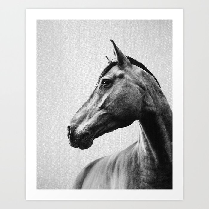 Horses - Black & White 2 Art Print