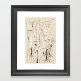 Santiago Ramon y Cajal Neurons Drawing Framed Art Print