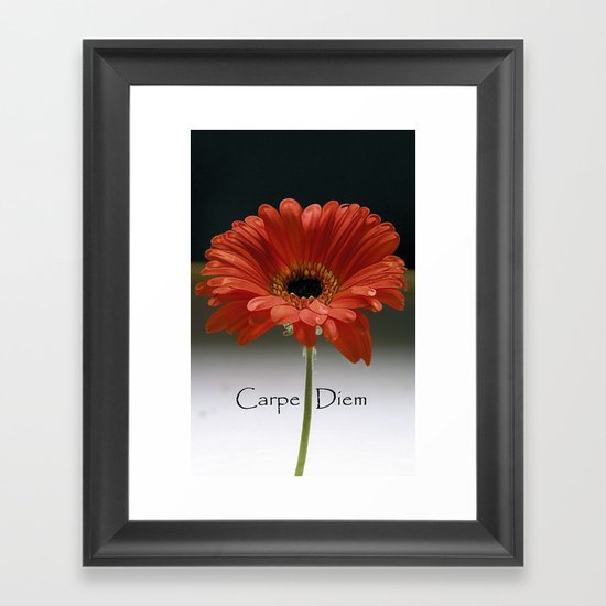 Carpe Diem (for the love of LIFE!) Framed Art Print