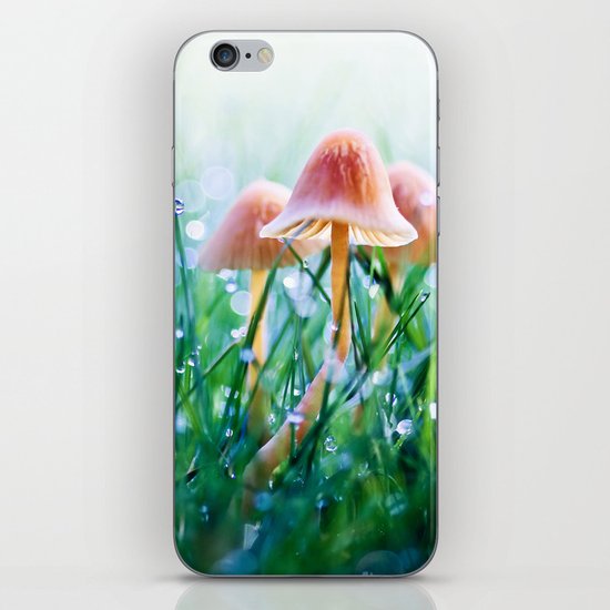 Fairytopia iPhone & iPod Skin