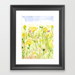 Buttercup  Framed Art Print