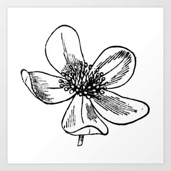 Flower Art Print