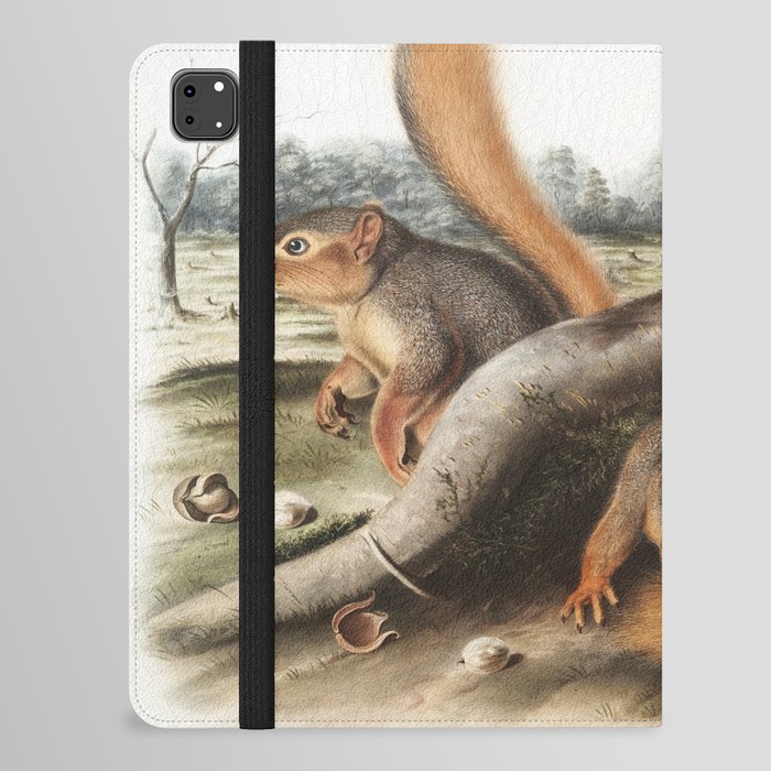 Say  Squirrel  of North America (1845) illustrated by john james audubon iPad Folio Case