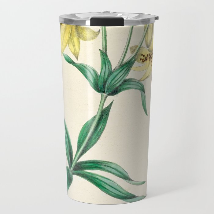 Yellow lily by Clarissa Munger Badger, 1859 (benefitting The Nature Conservancy) Travel Mug