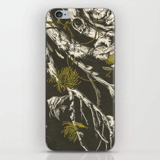 The Mangrove Tree iPhone & iPod Skin