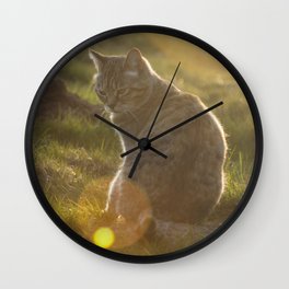 Tabby cat Wall Clock