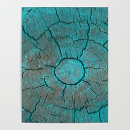 Turquoise Woodwork Poster