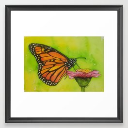 Monarch Butterfly Framed Art Print