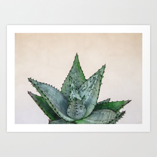 nature VI cactus Art Print