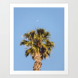 Palm Tree Moon Art Print