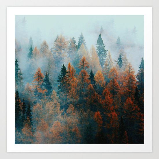 Holomontas Art Print