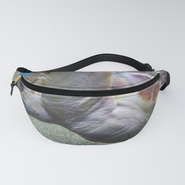 Turtle Power Fanny Pack