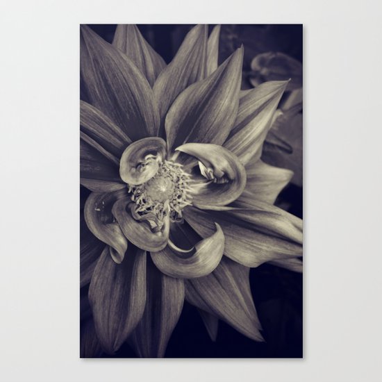 Touched Canvas Print