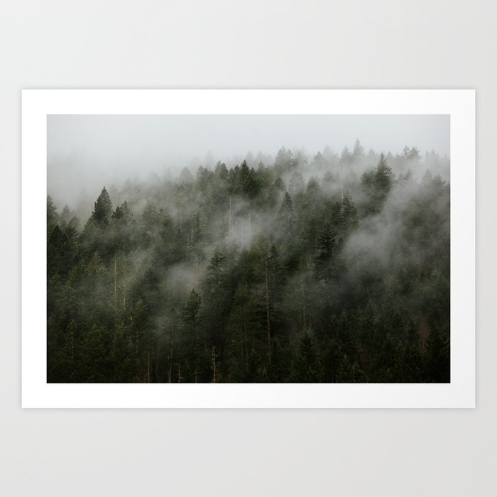 Pacific Northwest Foggy Forest Art Print