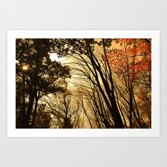 Autumn Boughs Art Print