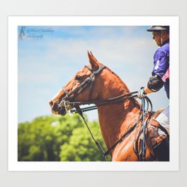 Pricked Ears Art Print | Naturephotography, Animalphotography, Nature, Horse, Animal, Equine, Color, Digital, Polo, Horses 