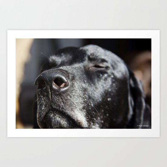 Wake Up and Smell the Coffee Art Print