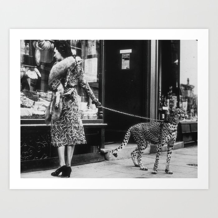 Leopard on a Leash, Black and White Vintage Art Art Print