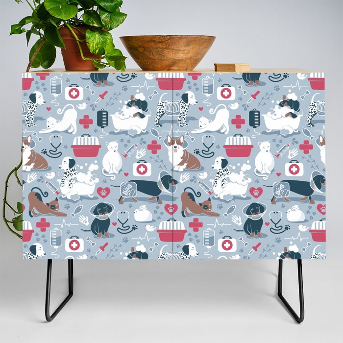 Veterinary medicine, happy and healthy friends // pastel blue background Credenza