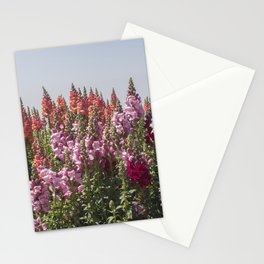 Flowers at Doi Inthanon Stationery Cards