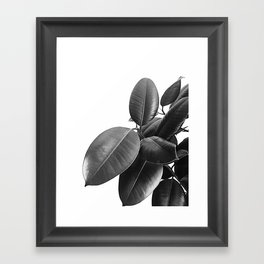Ficus Elastica #23 #BlackAndWhite #foliage #decor #art #society6 Framed Art Print