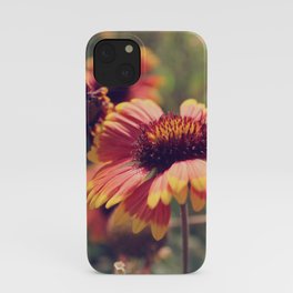 Gaillardia flower iPhone Case