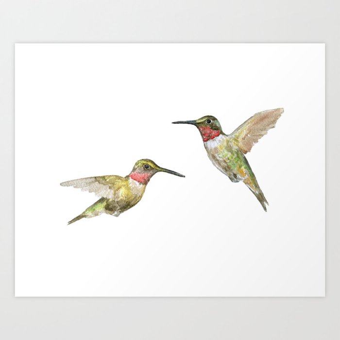 Ruby Throated Hummingbird Watercolor Art Print