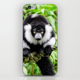 Amazing Black and White Lemur iPhone Skin