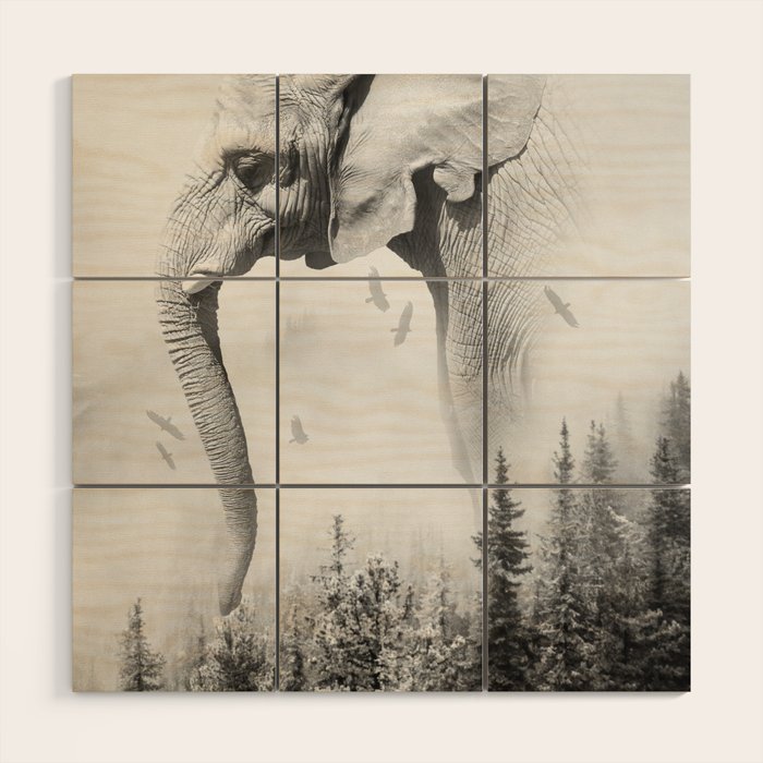 Elephant Animal Photography B W Nature Fog Wildlife Abstract Landscape Wood Wall Art By Wildhood Society6