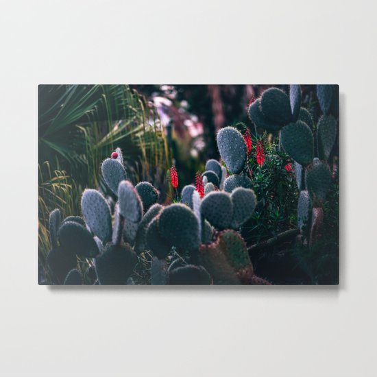 Paddle Cactus Metal Print