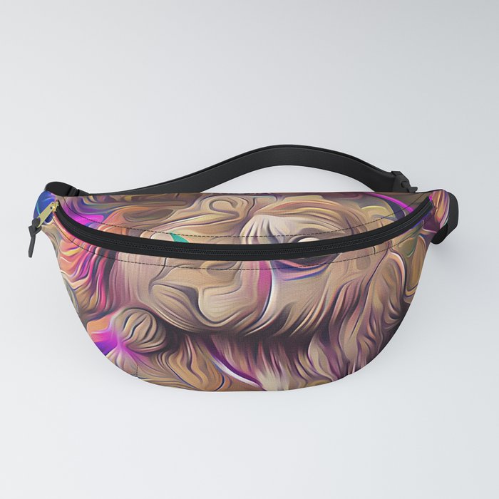 Psychedelic fanny 2025 pack