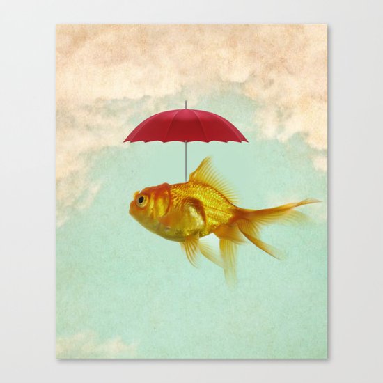 under cover goldfish 02 Canvas Print