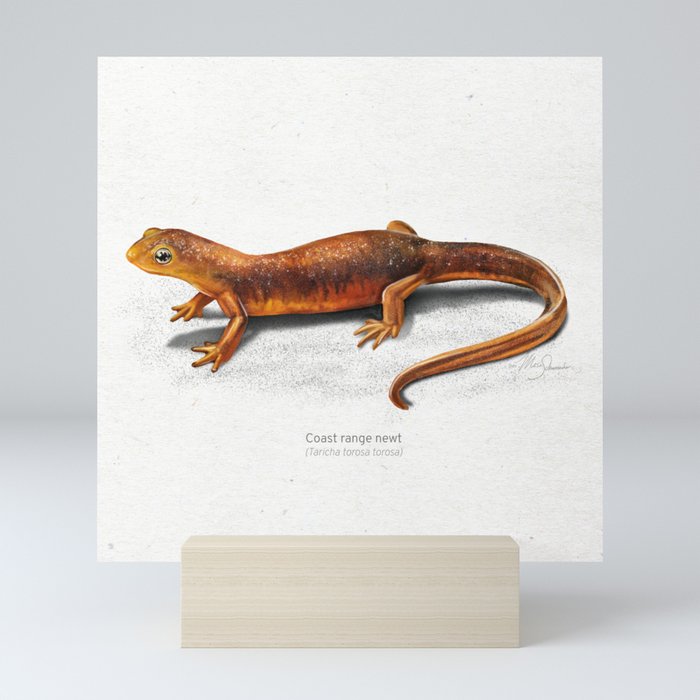 Mini Art Print