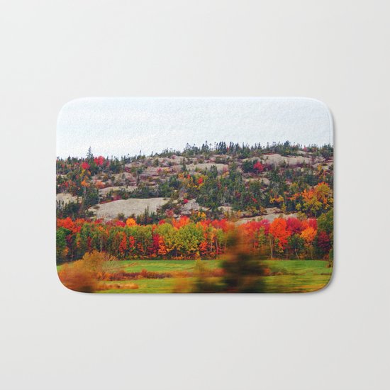 Trees and the Rock Bath Mat