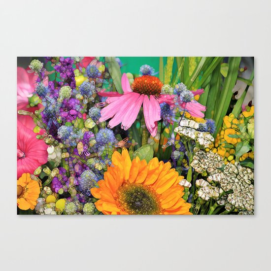 Medicine Canvas Print