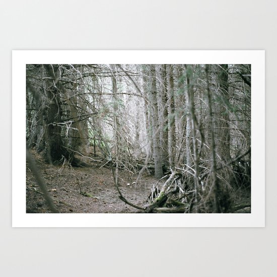 Haunted Forest Art Print