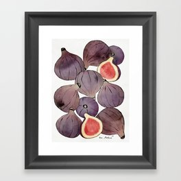 figs still life botanical watercolor Framed Art Print