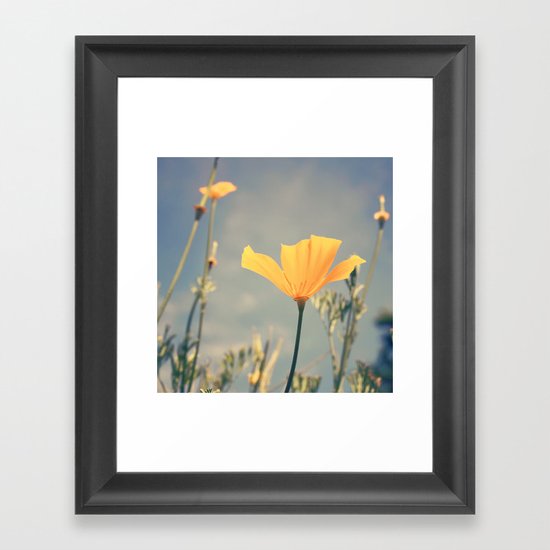 orange poppies! Framed Art Print
