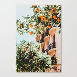 Orange Tree Fruits Print, Barcelona Spain Print, Orange Fruits Wall Art Print, Urban Photography, Tropical Summer Print Canvas Print